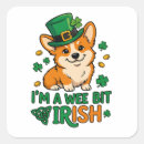 Search for funny corgi stickers Pembroke welsh corgi