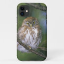 Search for owl tree iphone cases Branch