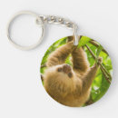 Search for sloth image key rings Animals
