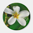Search for laptops magnets Flower