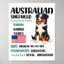 Search for australian shepherd posters Cute