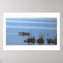 Search for swim posters Wildlife