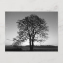Search for two for two postcards Countryside