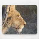 Search for big picture mousepads Africa