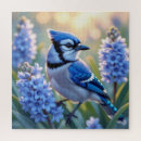 Search for blue jays puzzles Nature