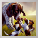 Search for german shorthaired pointer posters Puppy