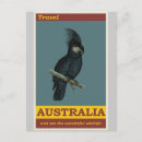 Search for black cockatoo posters Retro