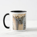 Search for giraffa camelopardalis mugs Wildlife
