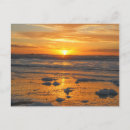 Search for sunny day Vacation