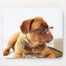 Search for glass mousepads Cool