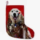 Search for yellow lab christmas stockings Cute
