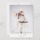 Search for paw print cards Unique