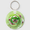 Search for succulent plants key rings Succulents