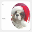 Search for blenheim cavalier king charles stickers Spaniel