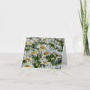 Search for blank note cards Daisy