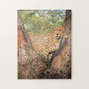 Search for african animals puzzles Tree