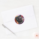 Search for buddy stickers Cats