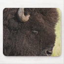 Search for south side electronics Animal