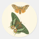 Search for bordered stickers Nature
