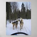 Search for sledding posters Sleigh