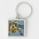 Search for eyes closed key rings Antenna