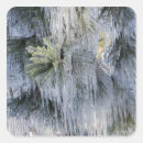 Search for icicle stickers Environment
