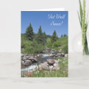 Search for mountain stream cards Nature