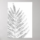 Search for black and white fern art Nature