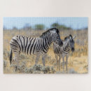Search for zebra puzzles Nature
