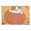 Search for single pillowcases Standard