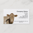 Search for farm veterinarian business cards Farming