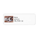 Search for cows return address labels Farm animal