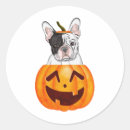Search for frenchie stickers Pumpkin