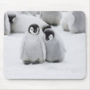 Search for emperor mousepads Baby animals