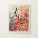 Search for echinoderms Vintage