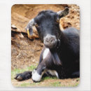 Search for funny goat mousepads Cute