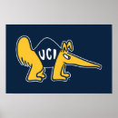 Search for anteaters posters College
