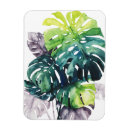 Search for split magnets Coastal