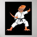 Search for funny samurai posters Jiu jitsu