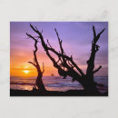 Search for large blue postcards Beach