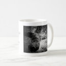 Search for cattitude mugs Crazy cat lady