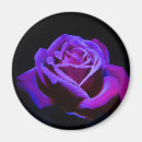 Search for drop magnets Purple