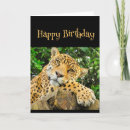 Search for silly cat birthday cards Animal