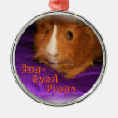Search for guinea pigs christmas decor Animal