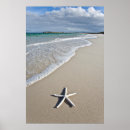 Search for remote posters Sea