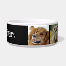 Search for guy pet supplies Cute