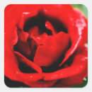 Search for february wedding stickers Valentine