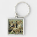 Search for behaviour key rings Looking at camera