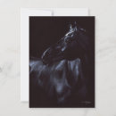 Search for stallion horse invitations Equine