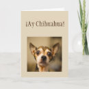 Search for aye cards Chihuahua